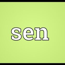 Define sen