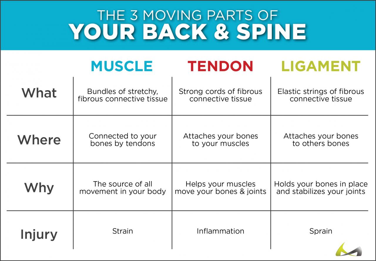 How can stiff and tight muscles result in back pain?